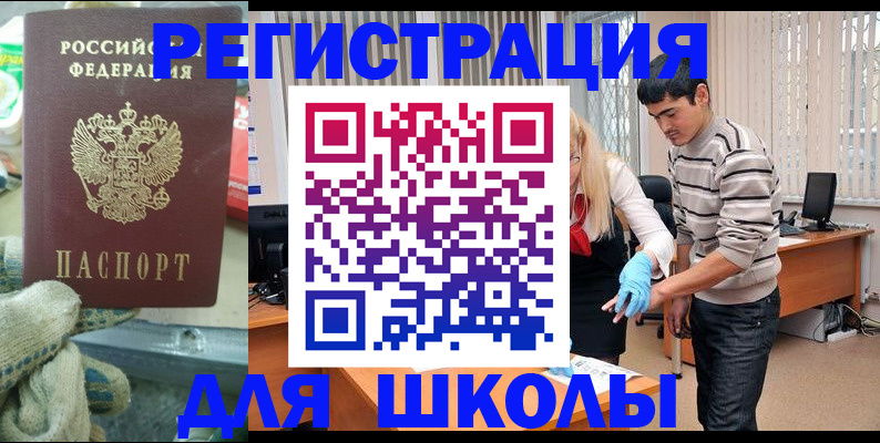 временная регистрация поиск в Полярном